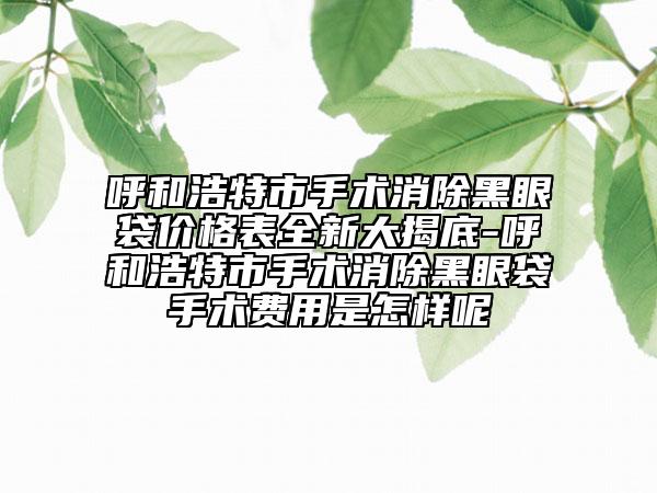 呼和浩特市手術(shù)消除黑眼袋價(jià)格表全新大揭底-呼和浩特市手術(shù)消除黑眼袋手術(shù)費(fèi)用是怎樣呢