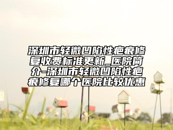 深圳市輕微凹陷性疤痕修復(fù)收費標(biāo)準(zhǔn)更新_醫(yī)院簡介-深圳市輕微凹陷性疤痕修復(fù)哪個醫(yī)院比較優(yōu)惠