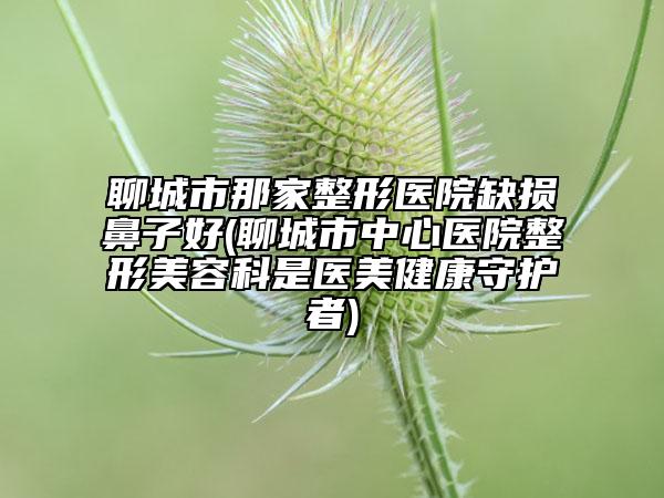 聊城市那家整形醫(yī)院缺損鼻子好(聊城市中心醫(yī)院整形美容科是醫(yī)美健康守護(hù)者)