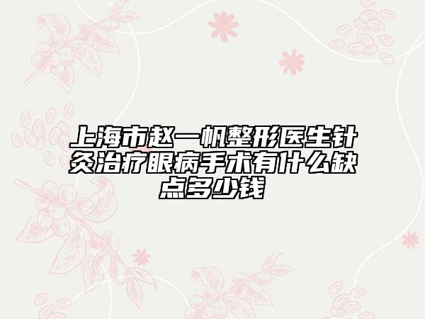 上海市趙一帆整形醫(yī)生針灸治療眼病手術有什么缺點多少錢