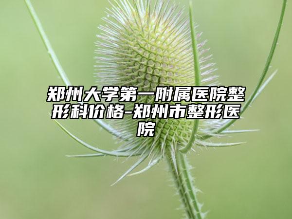 鄭州大學第一附屬醫(yī)院整形科價格-鄭州市整形醫(yī)院