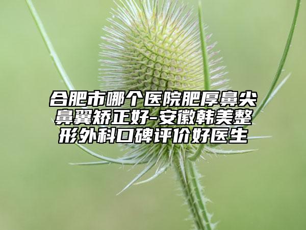 合肥市哪個醫(yī)院肥厚鼻尖鼻翼矯正好-安徽韓美整形外科口碑評價好醫(yī)生