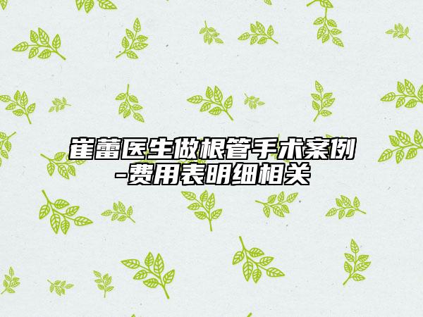 崔蕾醫(yī)生做根管手術(shù)案例-費用表明細(xì)相關(guān)