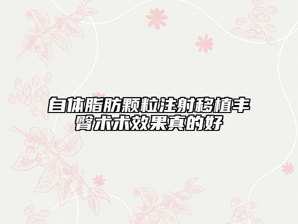 自體脂肪顆粒注射移植豐臀術(shù)術(shù)效果真的好