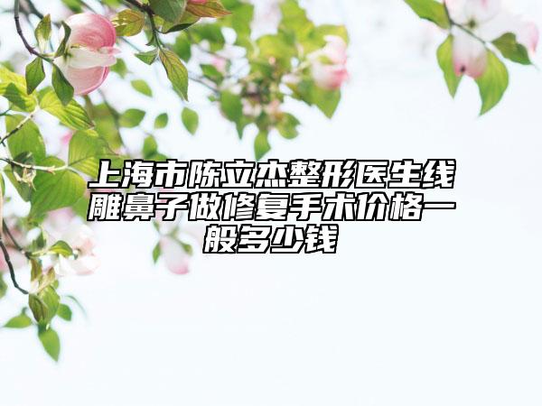 上海市陳立杰整形醫(yī)生線雕鼻子做修復(fù)手術(shù)價格一般多少錢