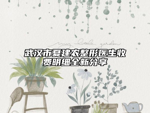 武漢市夏建農(nóng)整形醫(yī)生收費明細全新分享