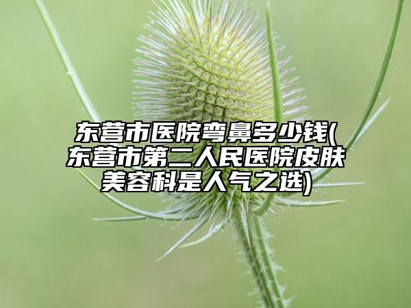 東營(yíng)市醫(yī)院彎鼻多少錢(東營(yíng)市第二人民醫(yī)院皮膚美容科是人氣之選)