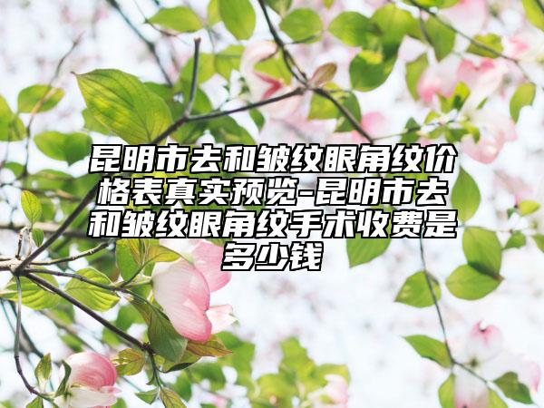昆明市去和皺紋眼角紋價格表真實預覽-昆明市去和皺紋眼角紋手術收費是多少錢