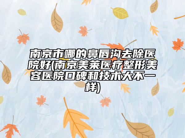 南京市哪的鼻唇溝去除醫(yī)院好(南京美萊醫(yī)療整形美容醫(yī)院口碑和技術大不一樣)