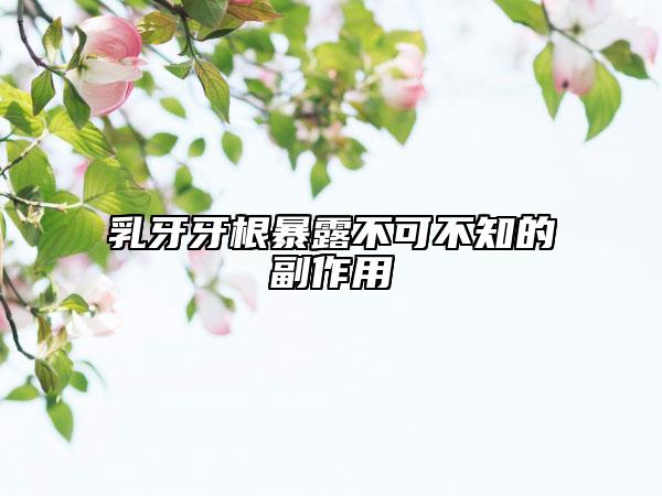 乳牙牙根暴露不可不知的副作用
