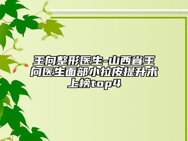 王向整形醫(yī)生-山西省王向醫(yī)生面部小拉皮提升術(shù)上榜top4