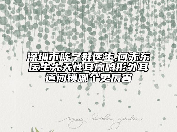 深圳市陳學群醫(yī)生,何赤東醫(yī)生先天性耳廓畸形外耳道閉鎖哪個更厲害
