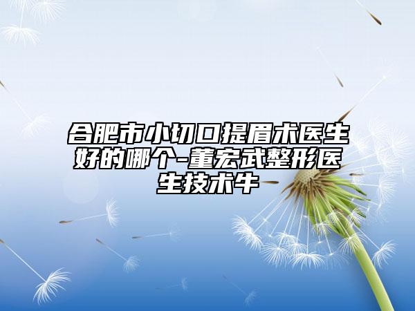 合肥市小切口提眉術醫(yī)生好的哪個-董宏武整形醫(yī)生技術牛