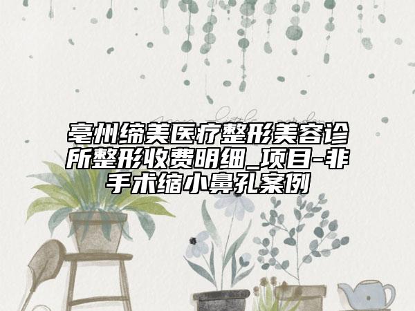 亳州締美醫(yī)療整形美容診所整形收費明細(xì)_項目-非手術(shù)縮小鼻孔案例