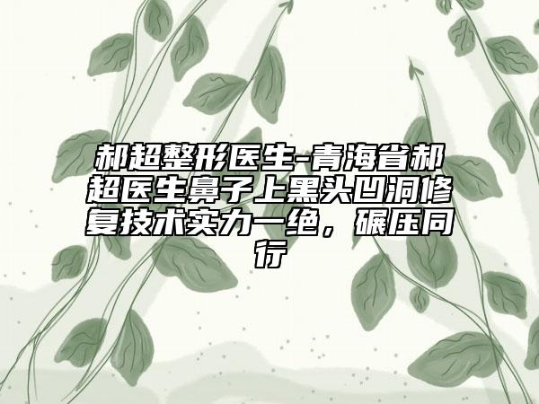 郝超整形醫(yī)生-青海省郝超醫(yī)生鼻子上黑頭凹洞修復技術實力一絕，碾壓同行