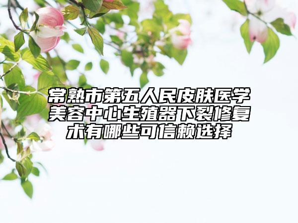 常熟市第五人民皮膚醫(yī)學美容中心生殖器下裂修復(fù)術(shù)有哪些可信賴選擇