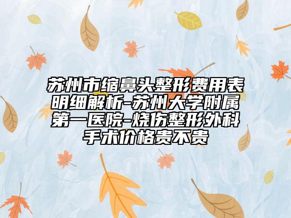 蘇州市縮鼻頭整形費用表明細解析-蘇州大學(xué)附屬第一醫(yī)院-燒傷整形外科手術(shù)價格貴不貴