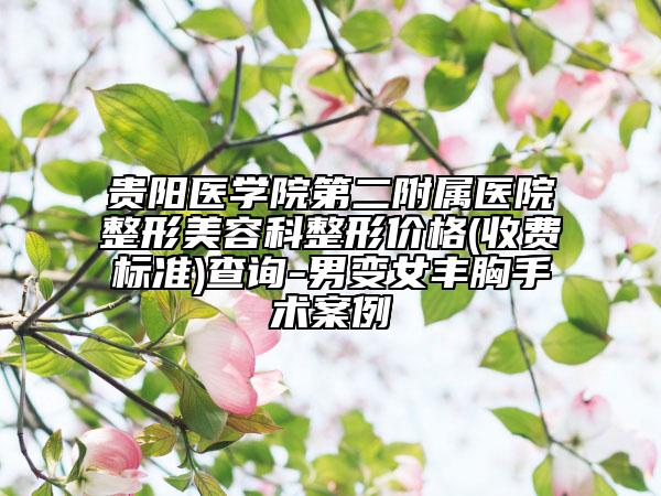 貴陽醫(yī)學院第二附屬醫(yī)院整形美容科整形價格(收費標準)查詢-男變女豐胸手術案例