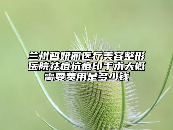 蘭州皙妍麗醫(yī)療美容整形醫(yī)院祛痘坑痘印手術(shù)大概需要費(fèi)用是多少錢(qián)