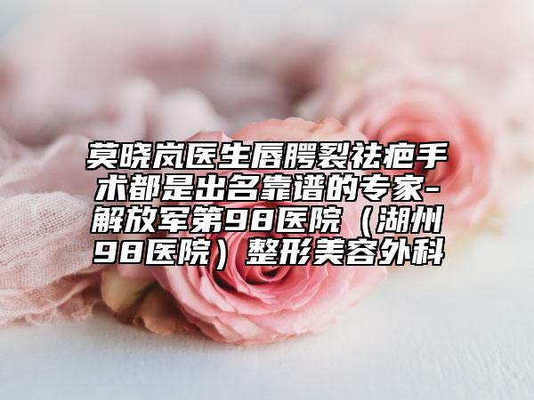 莫曉嵐醫(yī)生唇腭裂祛疤手術都是出名靠譜的專家-解放軍第98醫(yī)院（湖州98醫(yī)院）整形美容外科