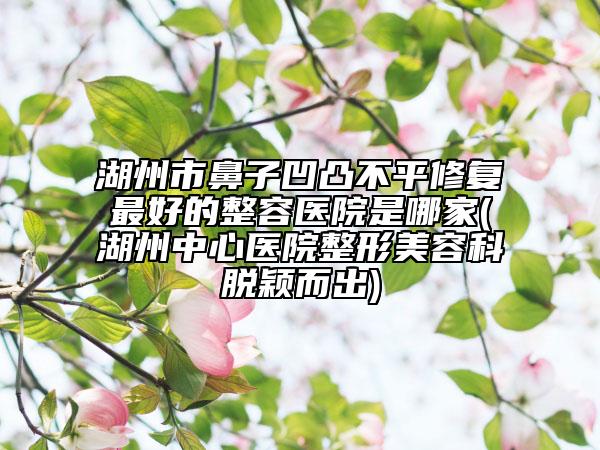 湖州市鼻子凹凸不平修復最好的整容醫(yī)院是哪家(湖州中心醫(yī)院整形美容科脫穎而出)