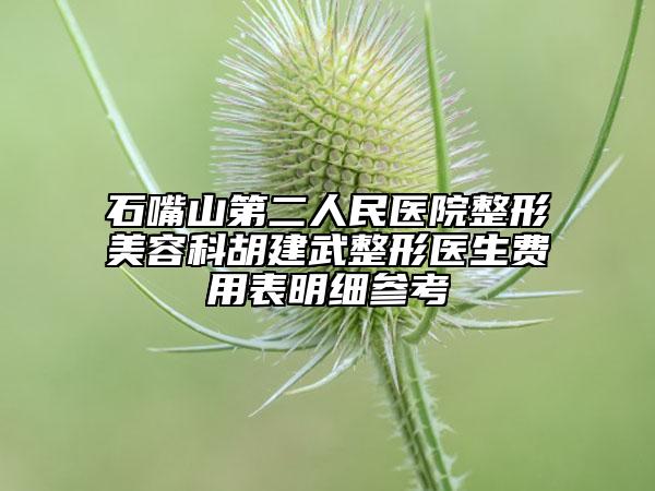 石嘴山第二人民醫(yī)院整形美容科胡建武整形醫(yī)生費用表明細參考