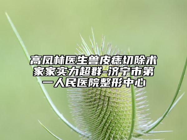 高鳳林醫(yī)生獸皮痣切除術家家實力超群-濟寧市第一人民醫(yī)院整形中心