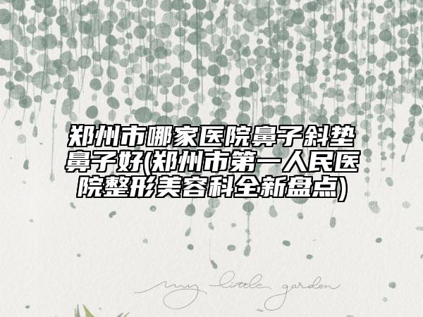 鄭州市哪家醫(yī)院鼻子斜墊鼻子好(鄭州市第一人民醫(yī)院整形美容科全新盤點(diǎn))