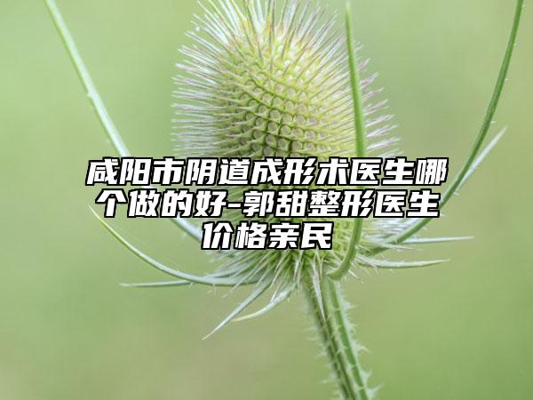 咸陽市陰道成形術醫(yī)生哪個做的好-郭甜整形醫(yī)生價格親民