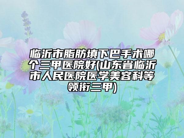 臨沂市脂肪填下巴手術(shù)哪個三甲醫(yī)院好(山東省臨沂市人民醫(yī)院醫(yī)學美容科等領銜三甲)