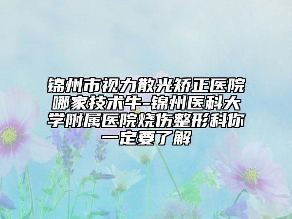 錦州市視力散光矯正醫(yī)院哪家技術(shù)牛-錦州醫(yī)科大學(xué)附屬醫(yī)院燒傷整形科你一定要了解