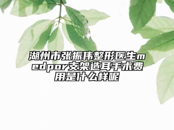 湖州市張振偉整形醫(yī)生medpor支架造耳手術(shù)費(fèi)用是什么樣呢