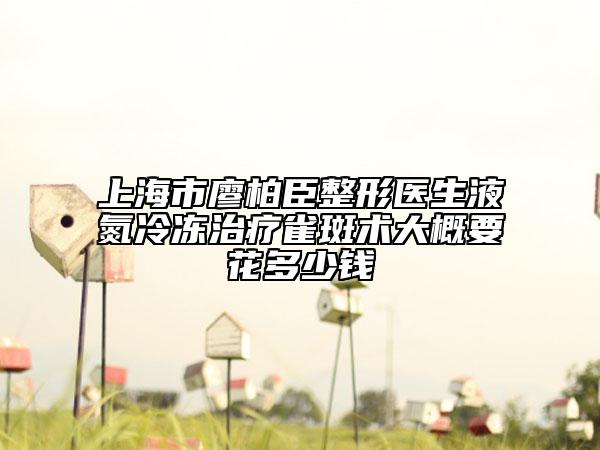上海市廖柏臣整形醫(yī)生液氮冷凍治療雀斑術(shù)大概要花多少錢(qián)