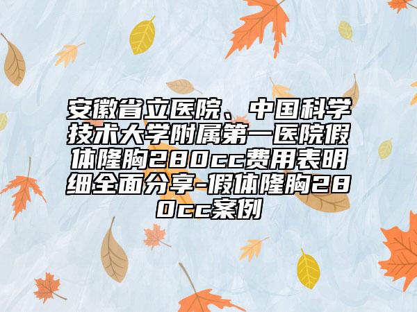 安徽省立醫(yī)院、中國科學(xué)技術(shù)大學(xué)附屬第一醫(yī)院假體隆胸280cc費(fèi)用表明細(xì)全面分享-假體隆胸280cc案例