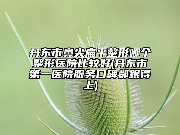 丹東市鼻尖扁平整形哪個整形醫(yī)院比較好(丹東市第一醫(yī)院服務(wù)口碑都跟得上)