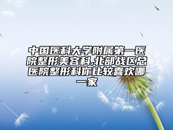 中國醫(yī)科大學(xué)附屬第一醫(yī)院整形美容科,北部戰(zhàn)區(qū)總醫(yī)院整形科你比較喜歡哪一家