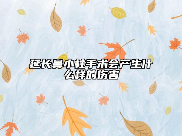 延長鼻小柱手術(shù)會(huì)產(chǎn)生什么樣的傷害