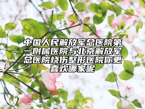 中國(guó)人民解放軍總醫(yī)院第一附屬醫(yī)院與北京解放軍總醫(yī)院燒傷整形醫(yī)院你更喜歡哪家呢