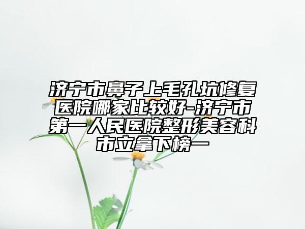 濟(jì)寧市鼻子上毛孔坑修復(fù)醫(yī)院哪家比較好-濟(jì)寧市第一人民醫(yī)院整形美容科市立拿下榜一