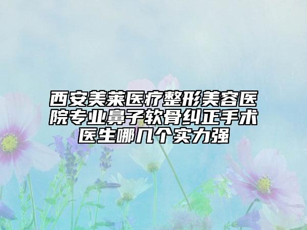 西安美萊醫(yī)療整形美容醫(yī)院專業(yè)鼻子軟骨糾正手術(shù)醫(yī)生哪幾個實力強