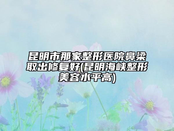 昆明市那家整形醫(yī)院鼻梁取出修復(fù)好(昆明海峽整形美容水平高)