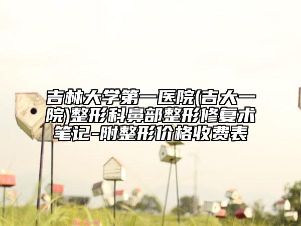 吉林大學(xué)第一醫(yī)院(吉大一院)整形科鼻部整形修復(fù)術(shù)筆記-附整形價格收費(fèi)表