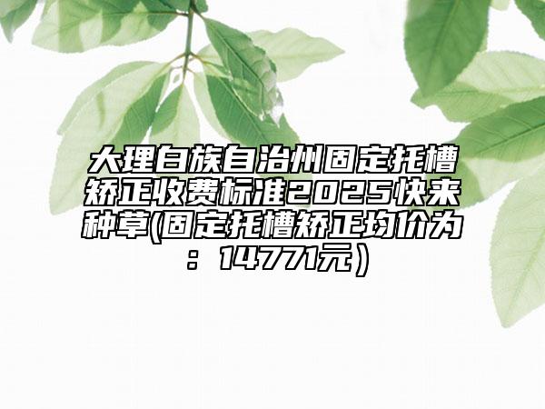 大理白族自治州固定托槽矯正收費標(biāo)準(zhǔn)2025快來種草(固定托槽矯正均價為：14771元）