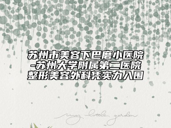 蘇州市美容下巴磨小醫(yī)院-蘇州大學(xué)附屬第二醫(yī)院整形美容外科憑實力入圍
