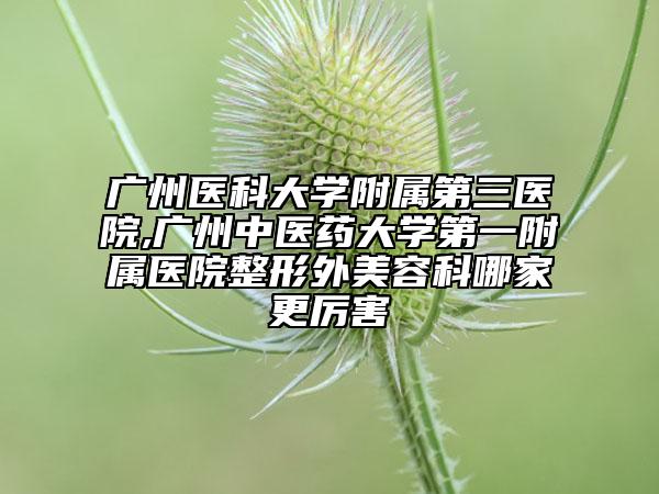 廣州醫(yī)科大學(xué)附屬第三醫(yī)院,廣州中醫(yī)藥大學(xué)第一附屬醫(yī)院整形外美容科哪家更厲害