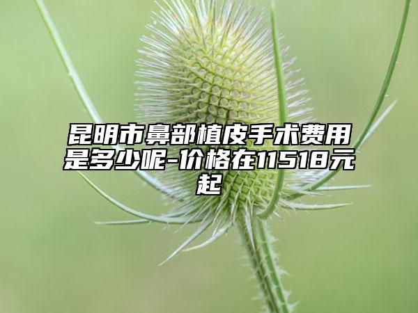 昆明市鼻部植皮手術(shù)費用是多少呢-價格在11518元起