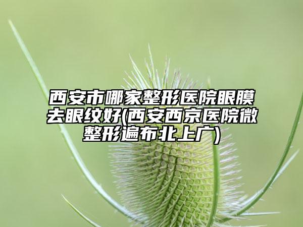 西安市哪家整形醫(yī)院眼膜去眼紋好(西安西京醫(yī)院微整形遍布北上廣)