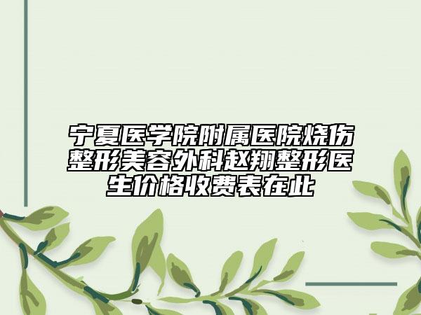 寧夏醫(yī)學(xué)院附屬醫(yī)院燒傷整形美容外科趙翔整形醫(yī)生價(jià)格收費(fèi)表在此