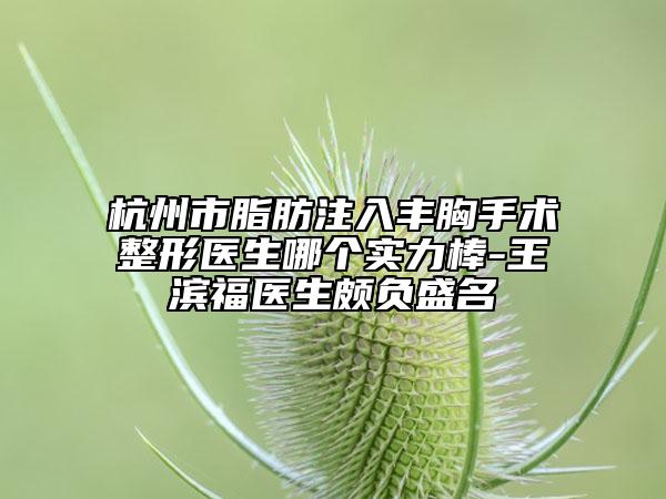 杭州市脂肪注入豐胸手術整形醫(yī)生哪個實力棒-王濱福醫(yī)生頗負盛名