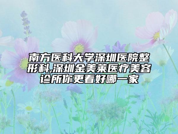 南方醫(yī)科大學深圳醫(yī)院整形科,深圳金美萊醫(yī)療美容診所你更看好哪一家